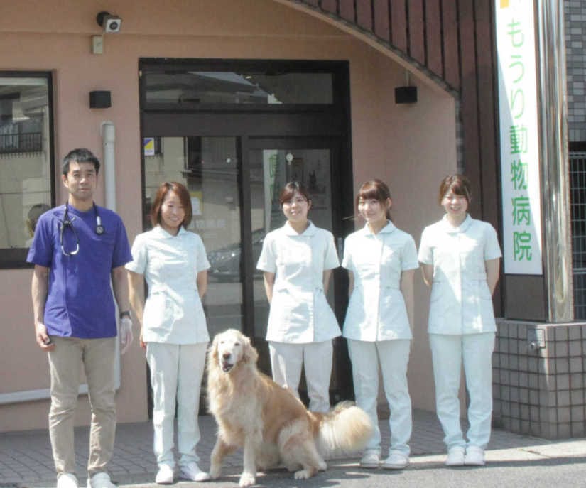 スタッフ紹介