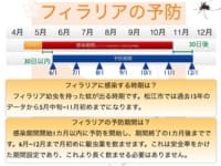松江市におけるフィラリア予防