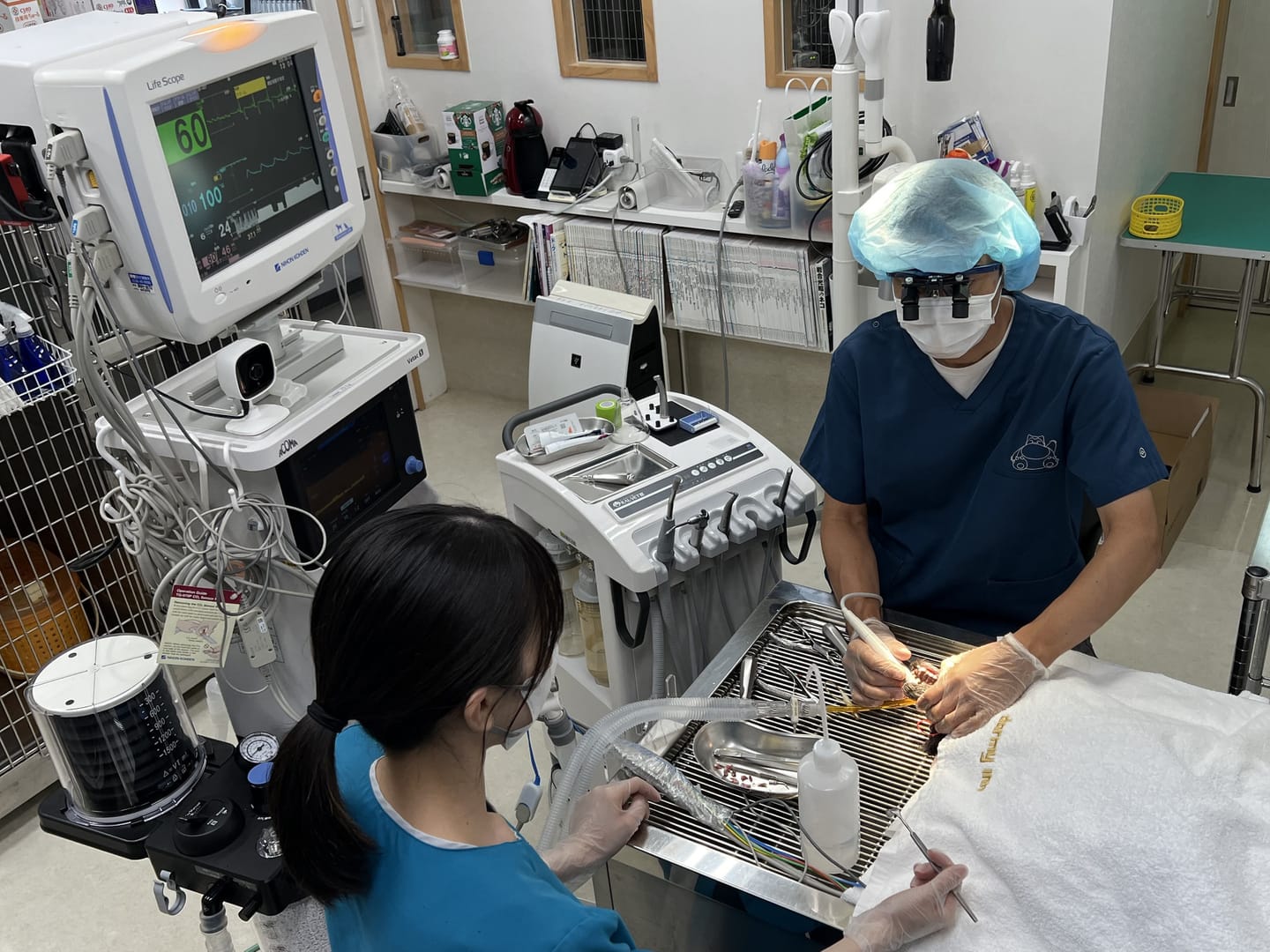 実際の歯科処置の様子